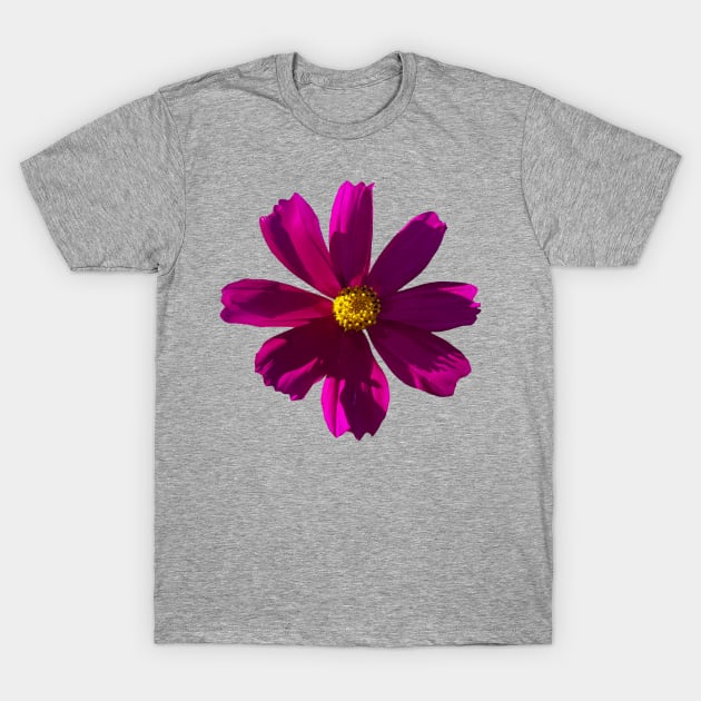 Dark Pink Cosmos Photo T-Shirt by ellenhenryart